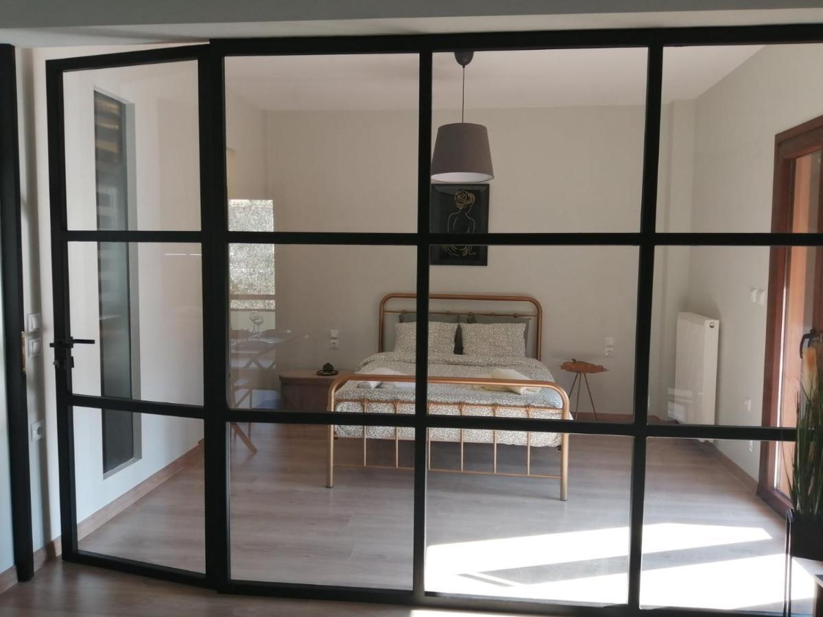 Apartmán Eleana Ioánnina Exteriér fotografie