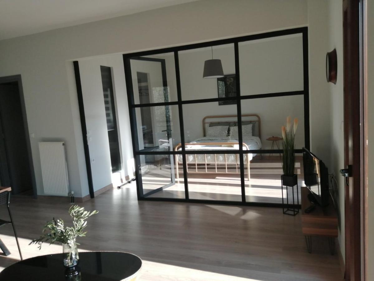 Apartmán Eleana Ioánnina Exteriér fotografie