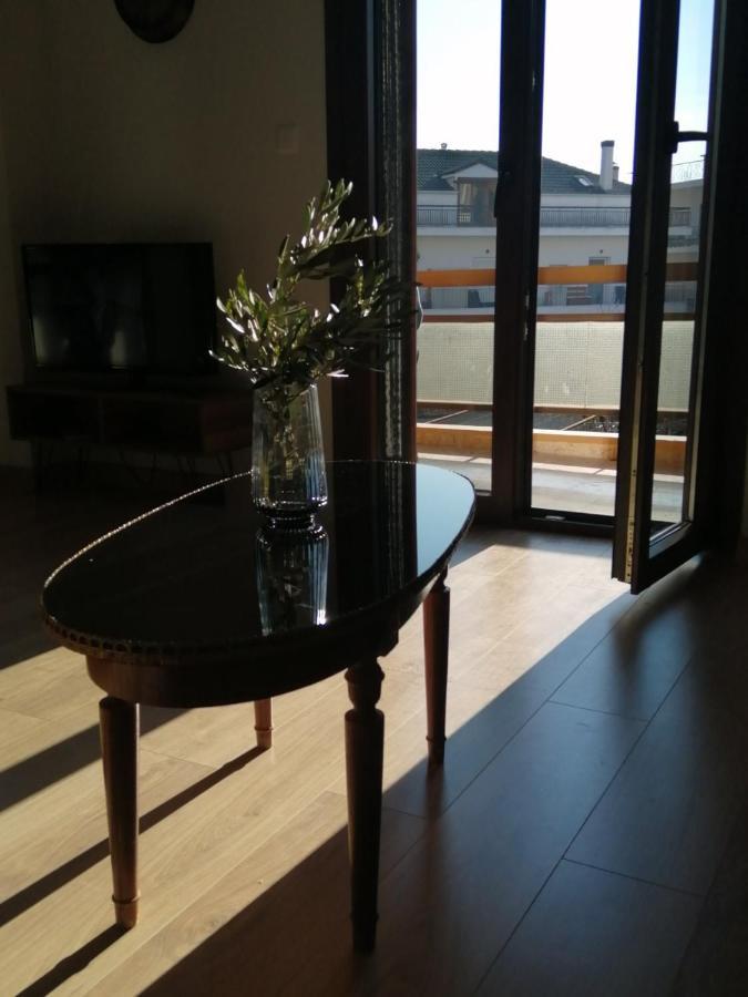 Apartmán Eleana Ioánnina Exteriér fotografie