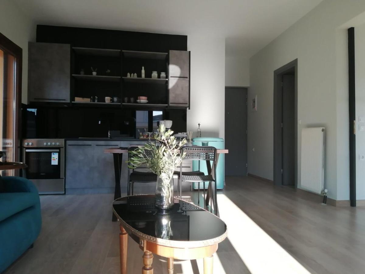 Apartmán Eleana Ioánnina Exteriér fotografie